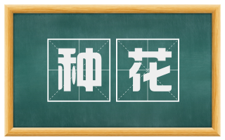 种花