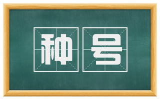 种号
