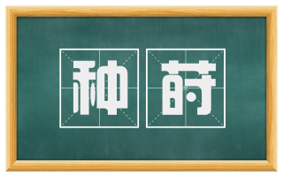 种莳
