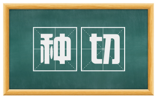 种切