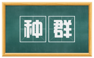 种群