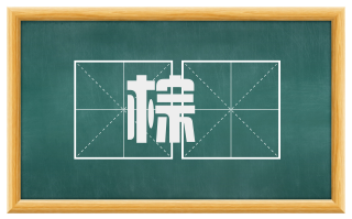 棕靸