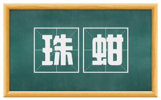 珠蚶