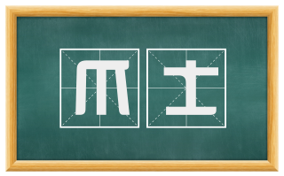 爪士