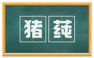 猪莼