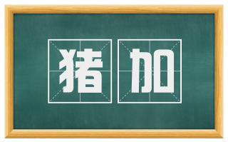 猪加