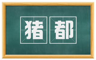 猪都