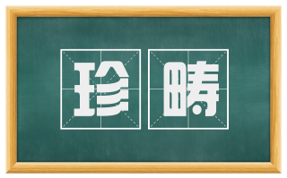 珍畴