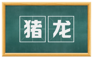 猪龙