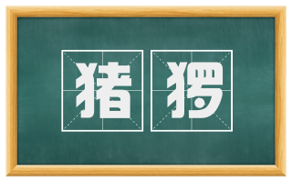 猪猡