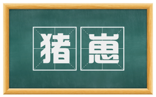 猪崽