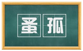 蚤孤