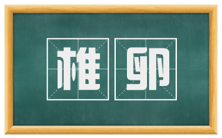 椎卵