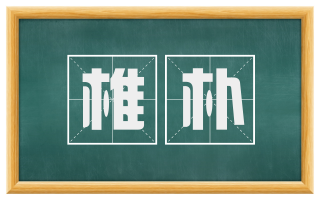 椎朴