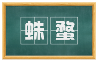 蛛蝥