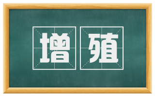 增殖