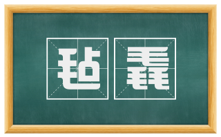 毡毳
