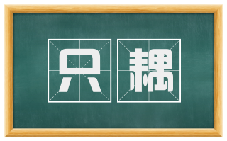 只耦
