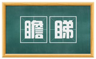 瞻睇