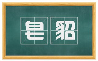 皂貂
