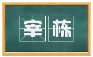 宰栋