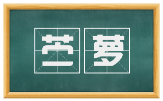 苎萝