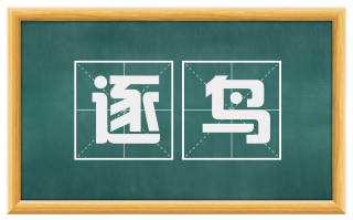 逐鸟