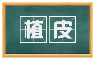 植皮