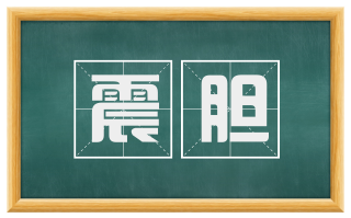 震胆