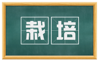 栽培