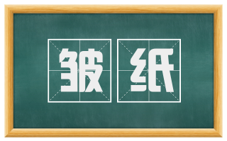 皱纸