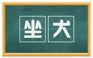 坐犬