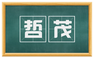 哲茂