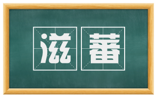 滋蕃