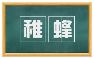 稚蜂