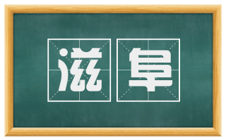 滋阜
