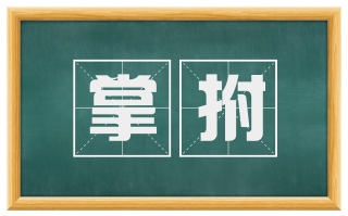掌拊