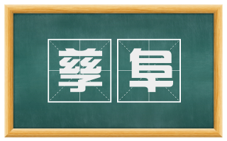 孳阜