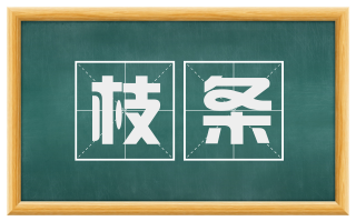 枝条
