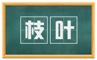 枝叶