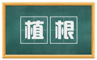 植根