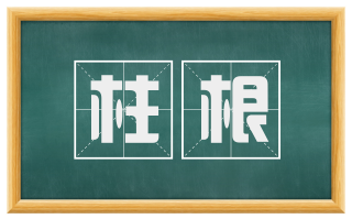 柱根