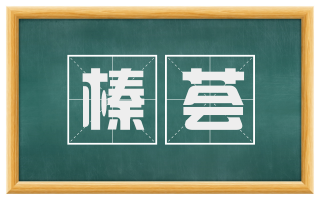 榛荟