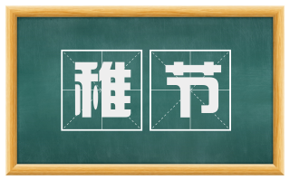 稚节