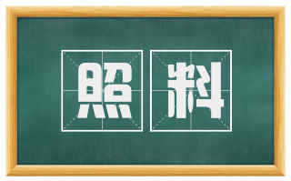 照料