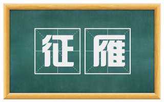 征雁