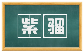 紫骝