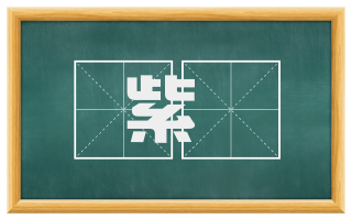 紫摽
