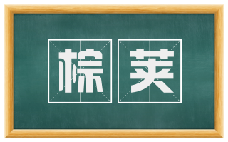 棕荚