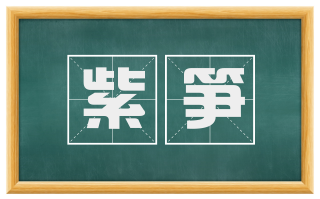 紫笋